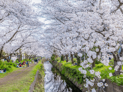 ガーデンテラス大和桜ケ丘 施設イメージ 7