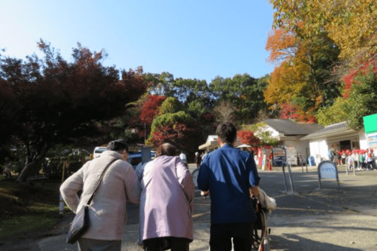 季節行事と外出レクが人気のイベント